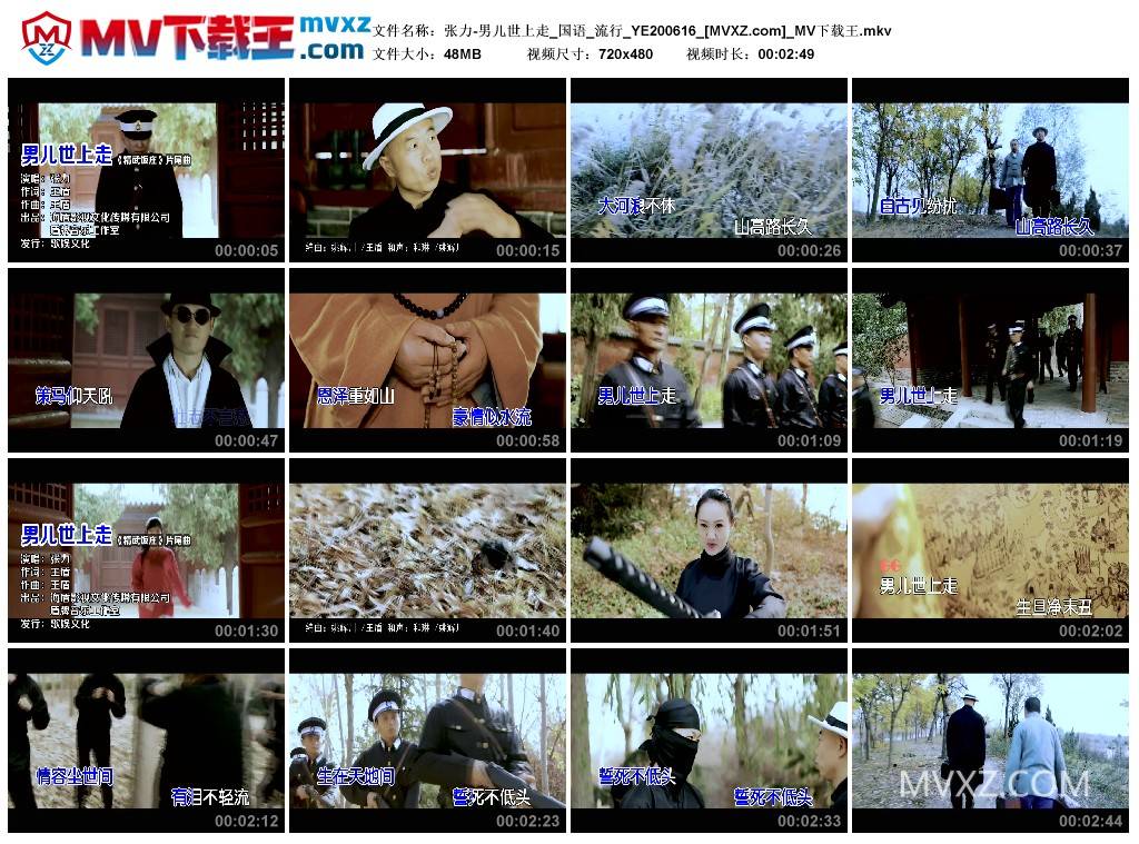 张力-男儿世上走_国语_流行_YE200616